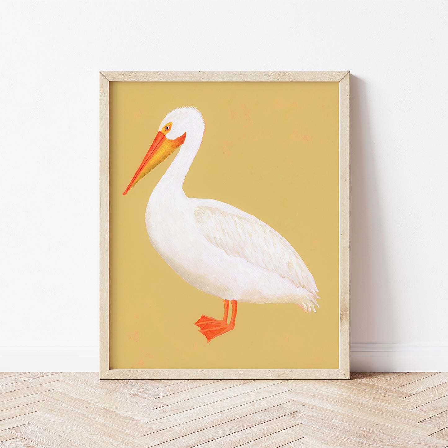 American White Pelican Fine Art Print