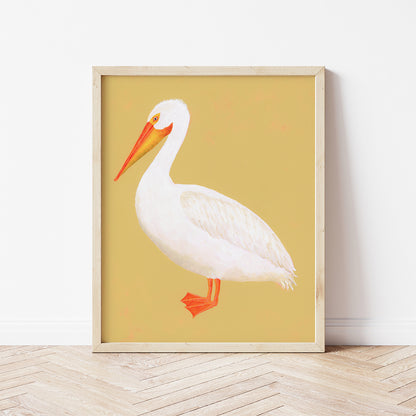 American White Pelican Fine Art Print