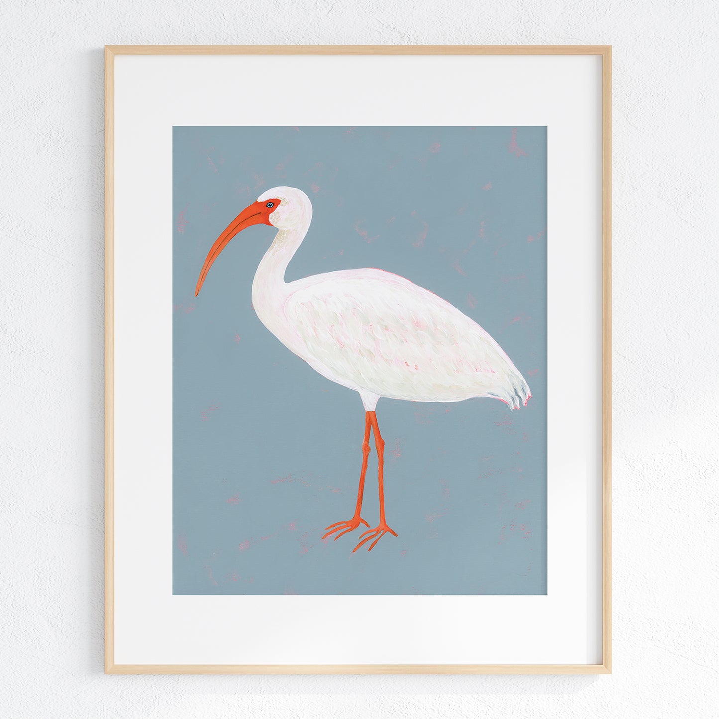 White Ibis Fine Art Print