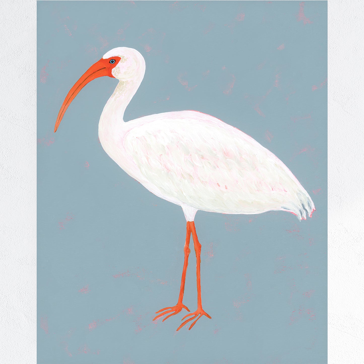 White Ibis Fine Art Print