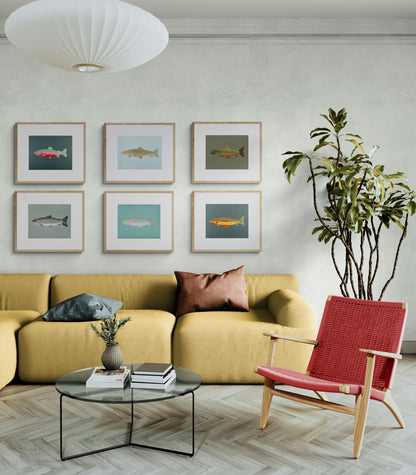 "Ronnie the Rainbow Trout" Fine Art Print