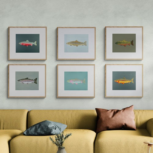 "The Tackle Box" Gallery Wall Set of 6 - Trout Fine Art Print Set