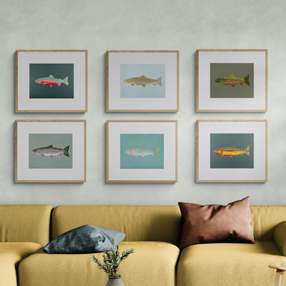 "The Tackle Box" Gallery Wall Set of 6 - Trout Fine Art Print Set