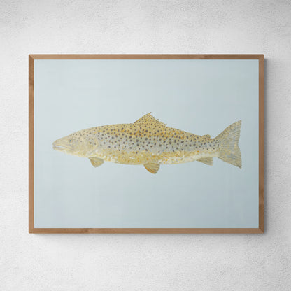 "Barnaby the Brown Trout" Fine Art Print