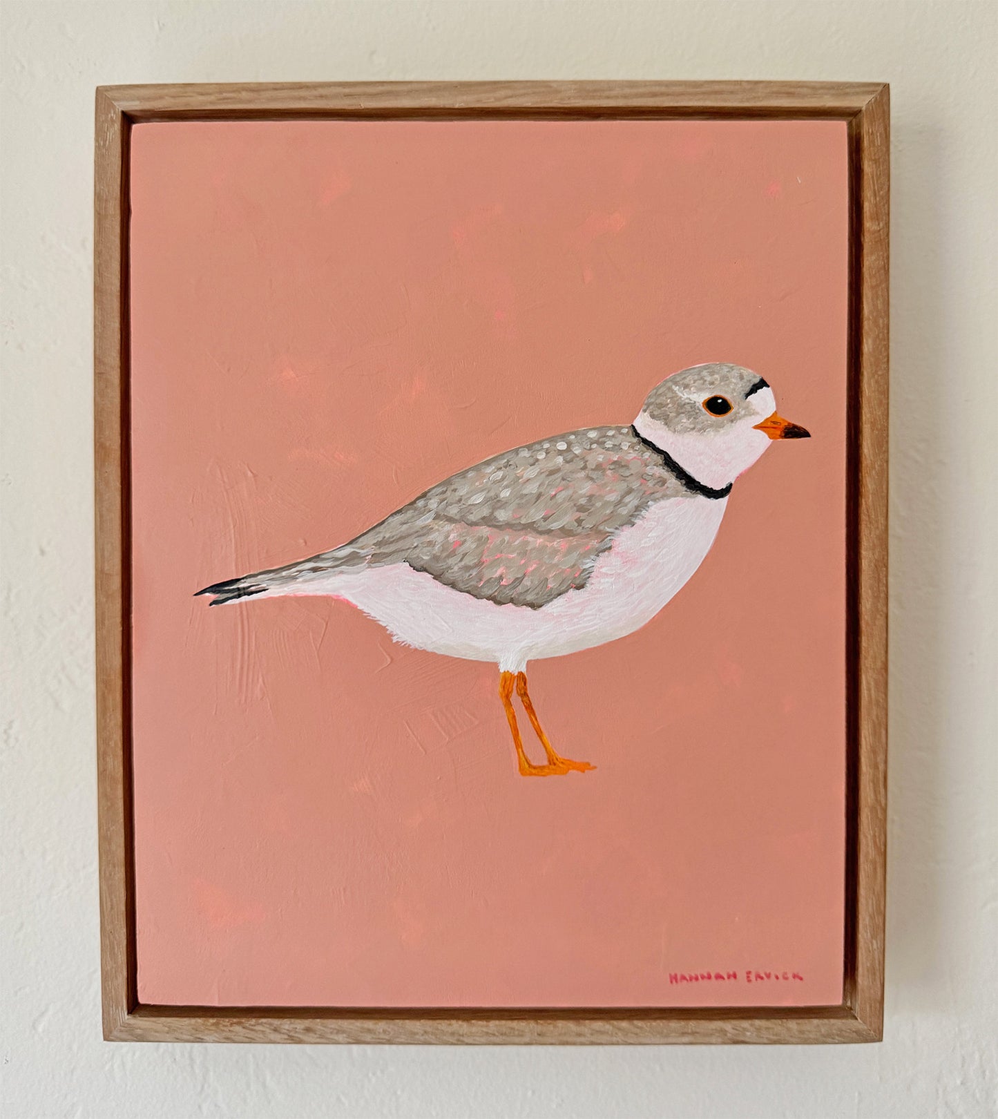 Original Piping Plover Painting in White Oak Frame
