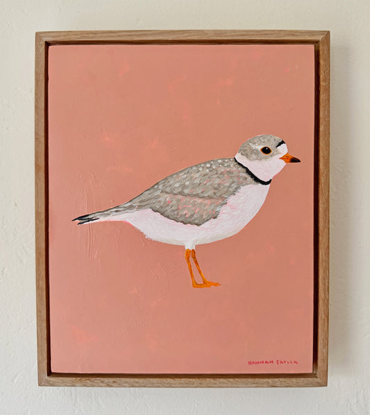 Original Piping Plover Painting in White Oak Frame