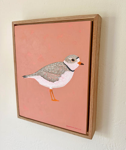 Original Piping Plover Painting in White Oak Frame
