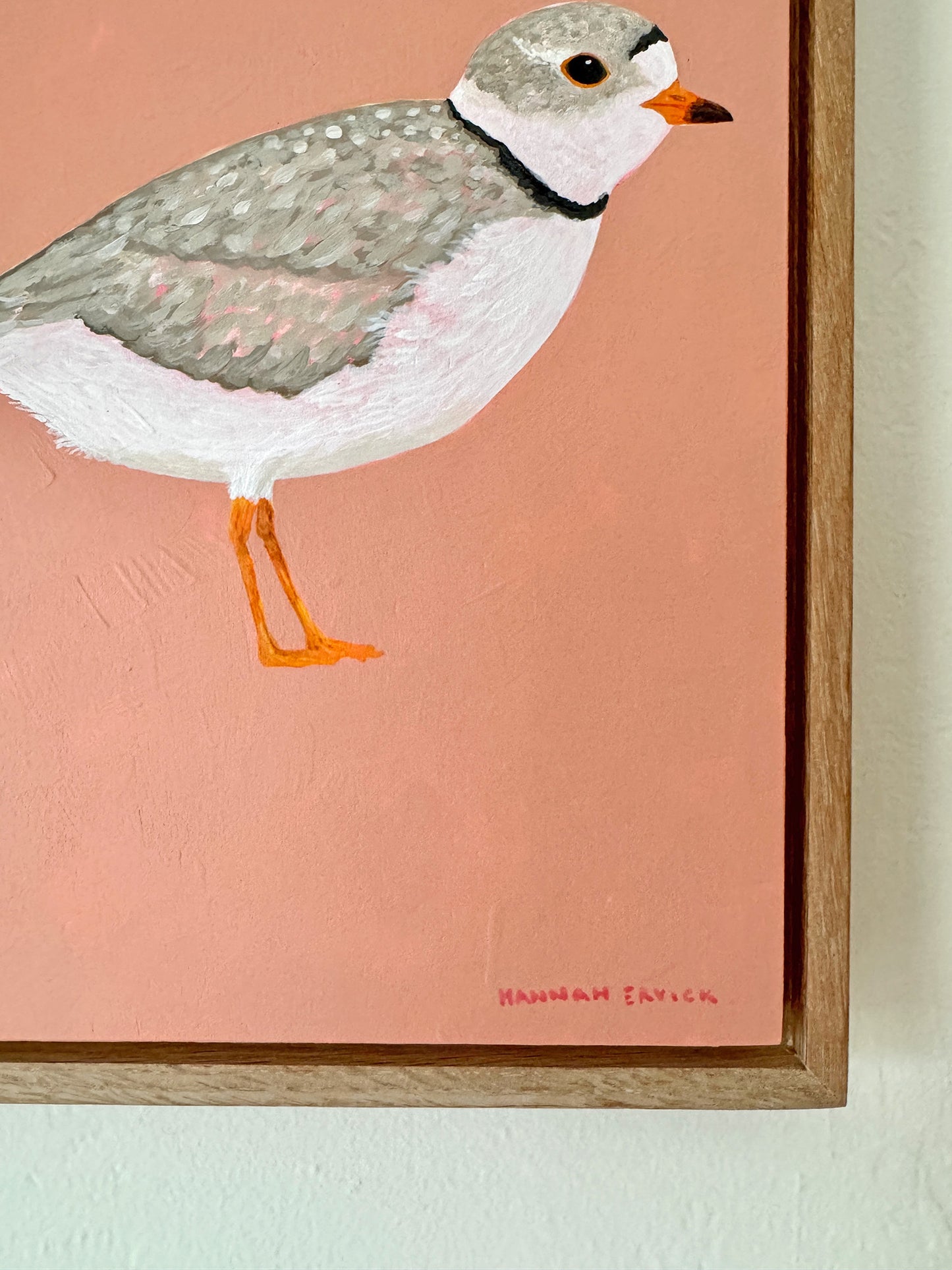 Original Piping Plover Painting in White Oak Frame