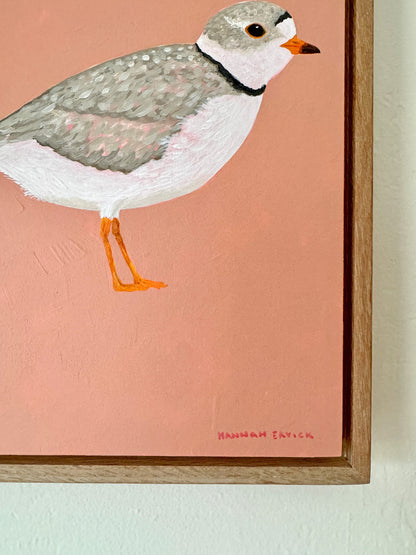 Original Piping Plover Painting in White Oak Frame